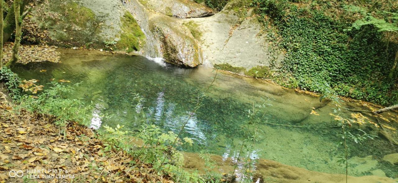 Allotjaments Rurals Can Punti Vallfogona de Ripolles Exterior photo