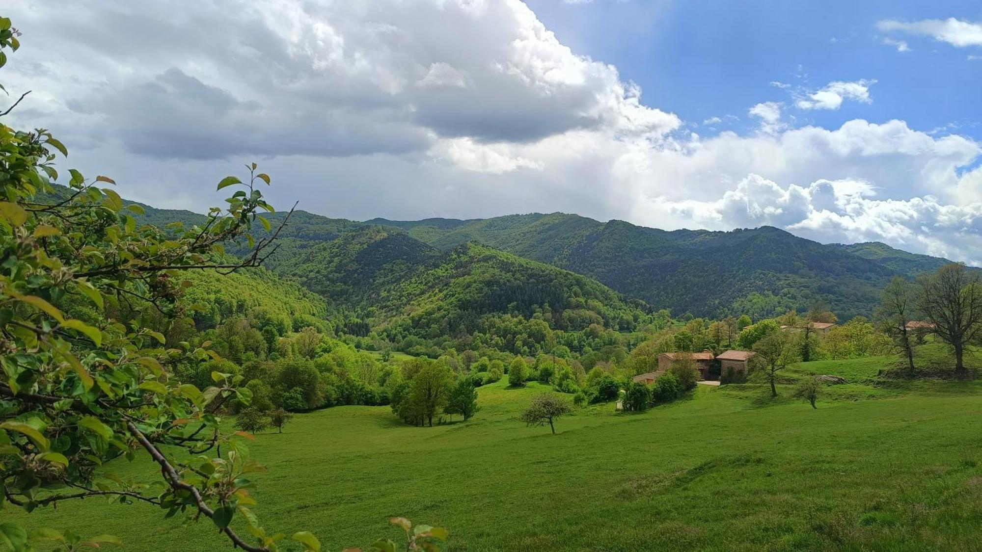 Allotjaments Rurals Can Punti Vallfogona de Ripolles Exterior photo
