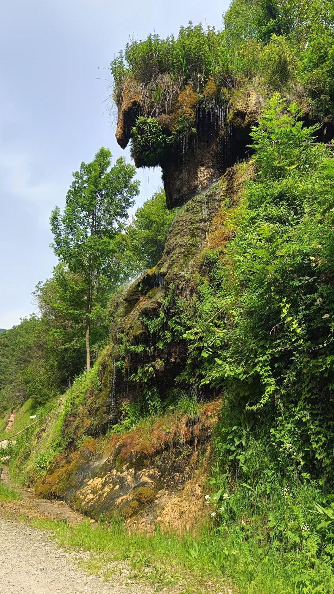 Allotjaments Rurals Can Punti Vallfogona de Ripolles Exterior photo