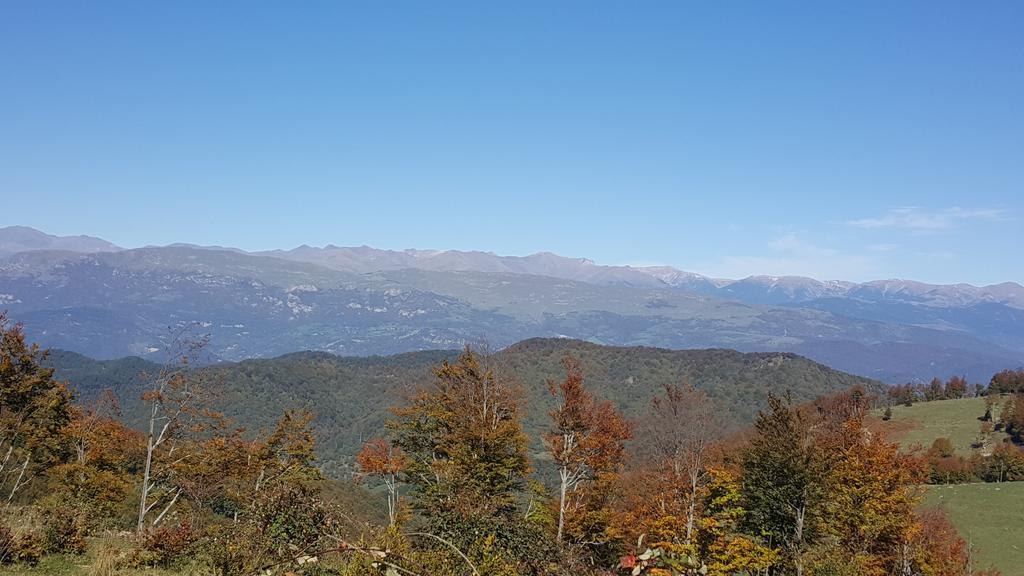 Allotjaments Rurals Can Punti Vallfogona de Ripolles Exterior photo